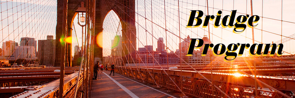 BRIDGE_BANNER IMAGES